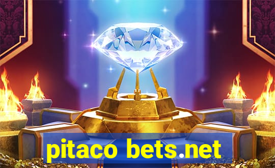 pitaco bets.net